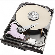 Жесткий диск Seagate 8000 Gb SKYHAWK AI (ST8000VE001)